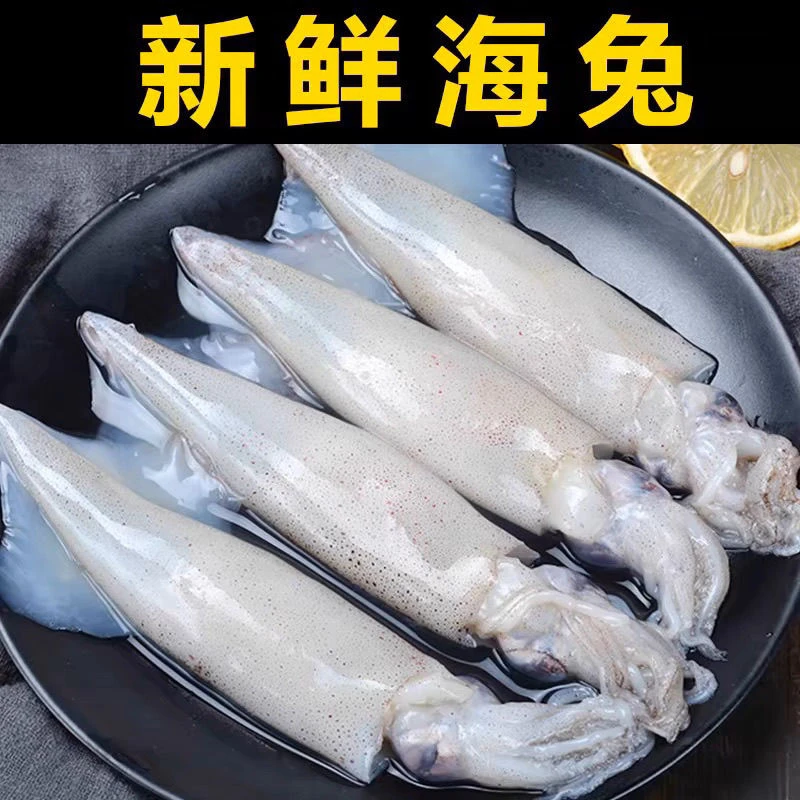 【4斤装】新鲜海捕大海兔笔管鱼1斤10-16条冷冻小鱿鱼新鲜墨斗鱼