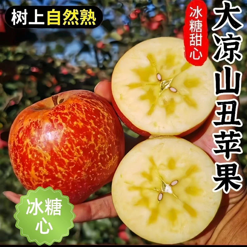大凉山盐源冰糖心丑苹果新鲜现摘脆甜多汁应季水果丑苹果