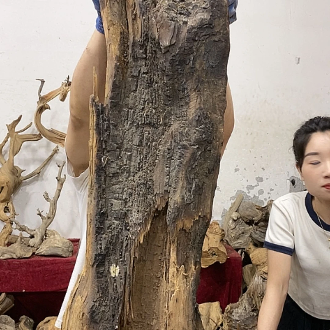 【闪购商品】柏木上****啦我们都是好孩子