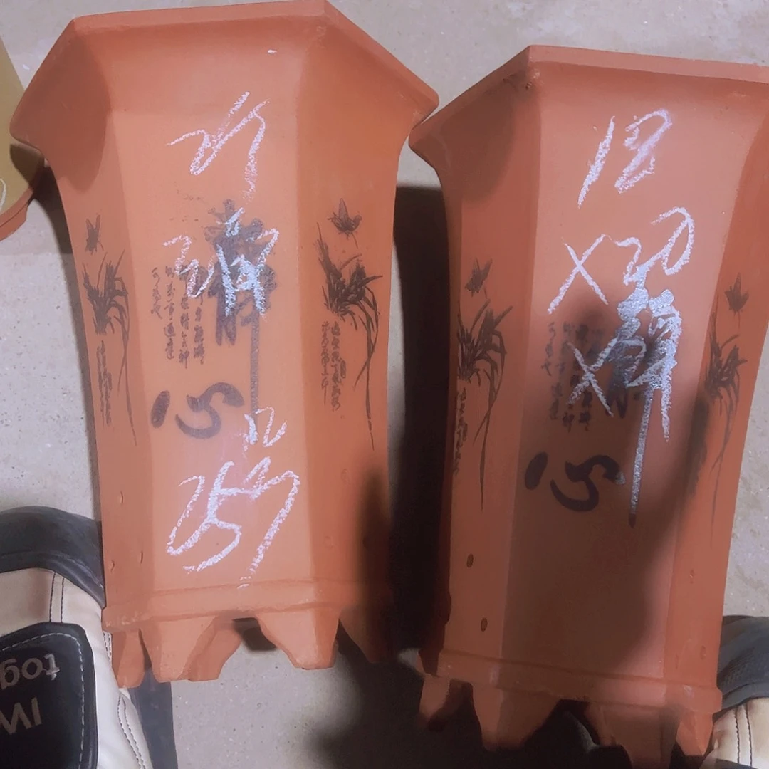 紫砂25……………………………………