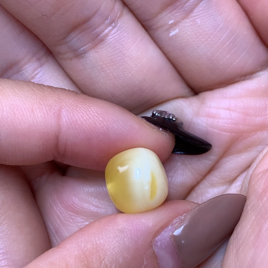 琥珀未镶嵌裸石蜜蜡12