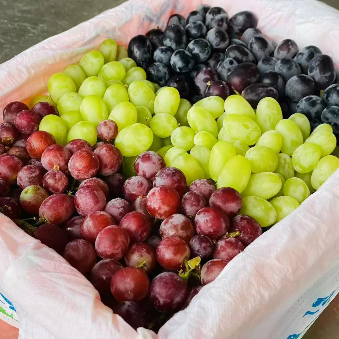 【新疆吐鲁番三色葡萄】无核白+无核紫+玻璃脆组合新疆维吾尔自治区