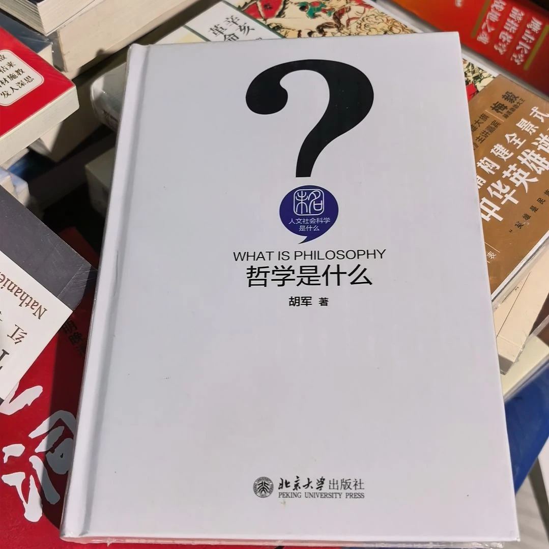 哲学是什么精装塑封全新