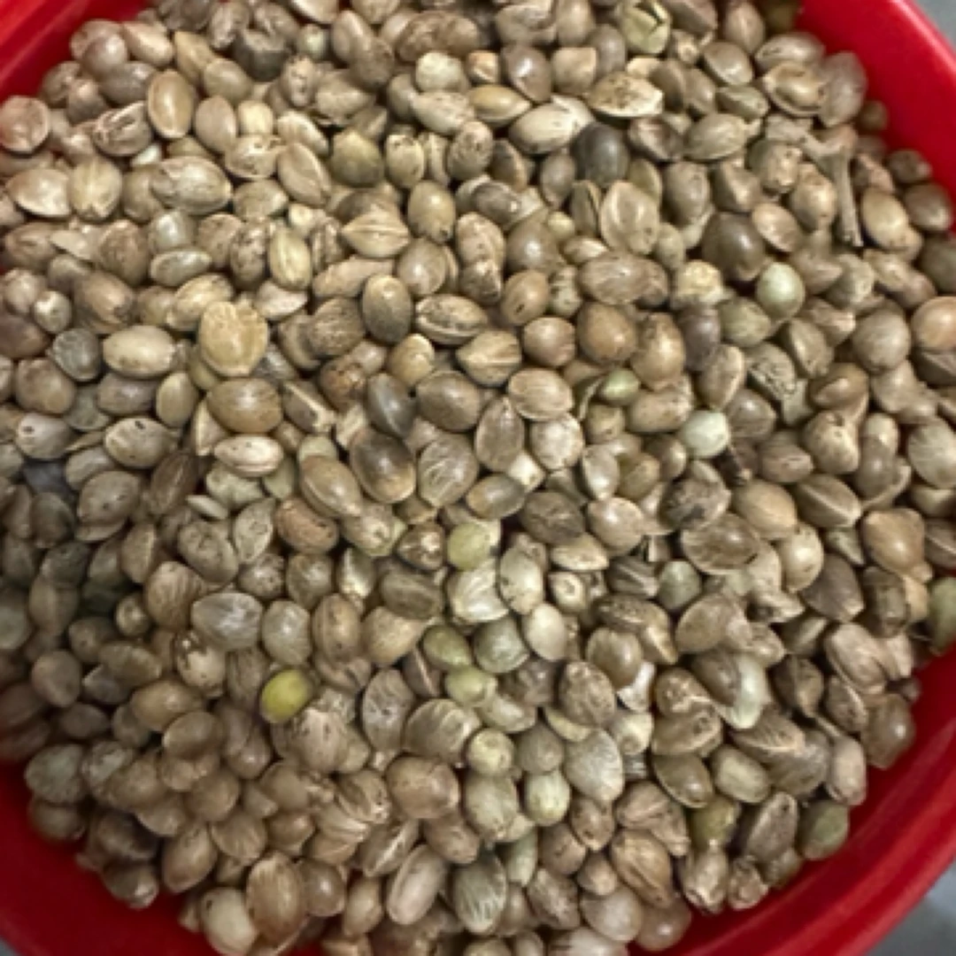 纸壳麻子鹦鹉粮大颗粒牡丹玄风奖励零食鸟粮新货