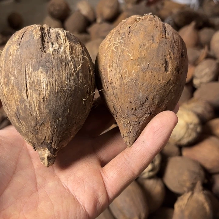 吊坠千眼菩提千眼菩提，62 号。