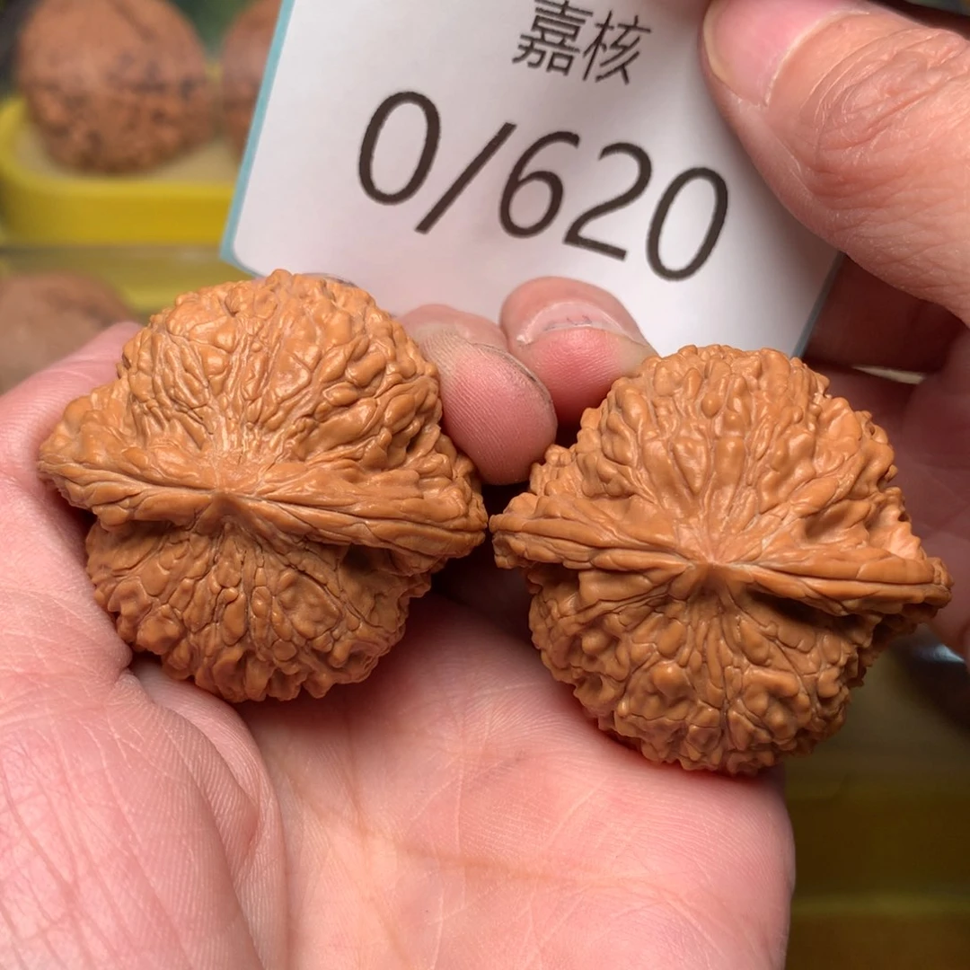 文玩核桃把件肉球满天星39