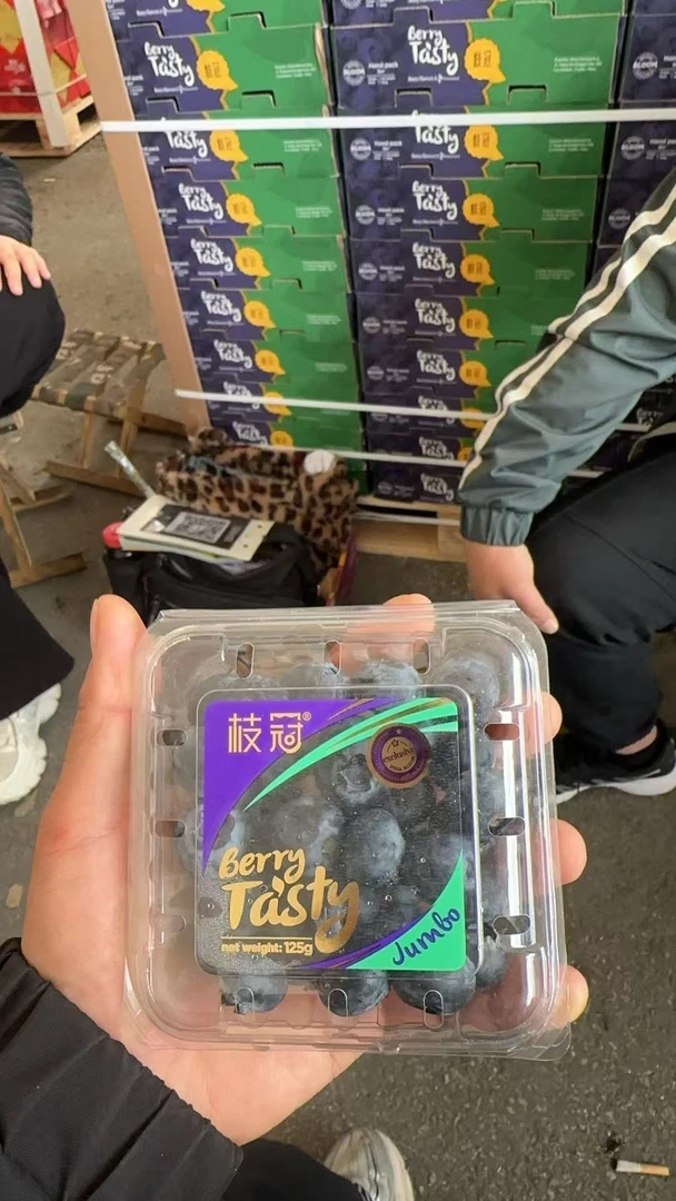 枝冠蓝莓一盒