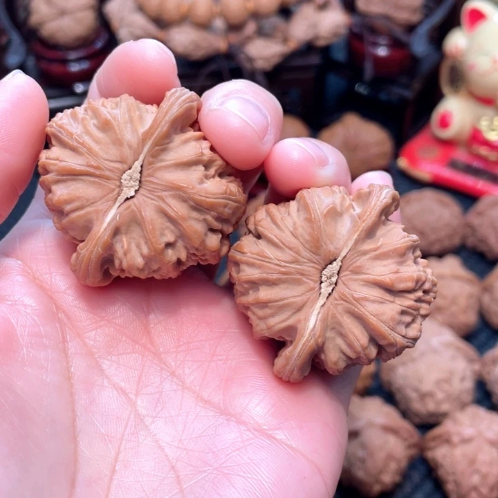 球形白狮子4.3全品无修。