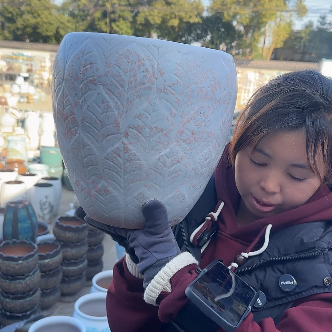 王嫂花盆1229-440高27口25