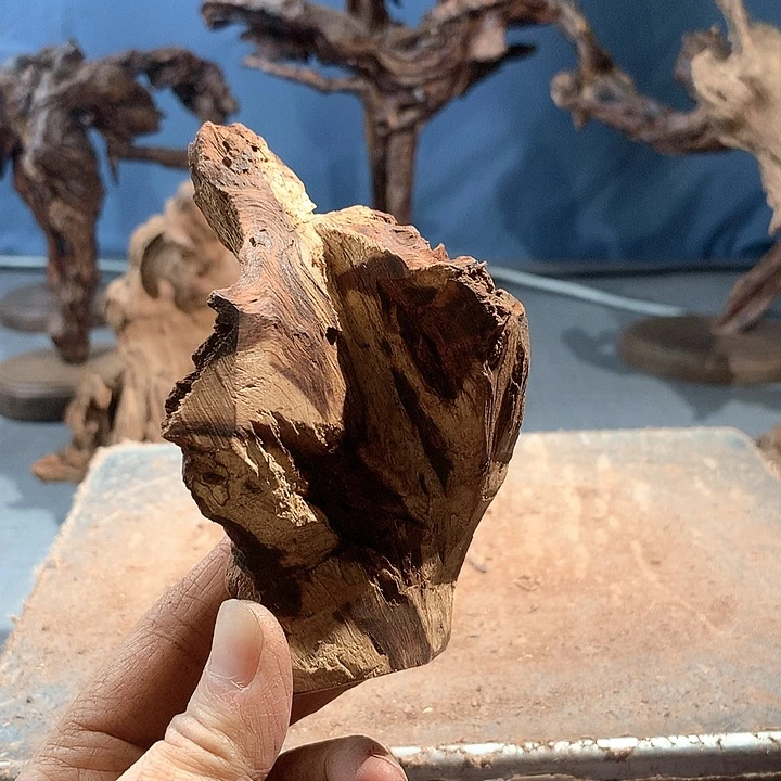 黄花梨/降香黄檀用****2