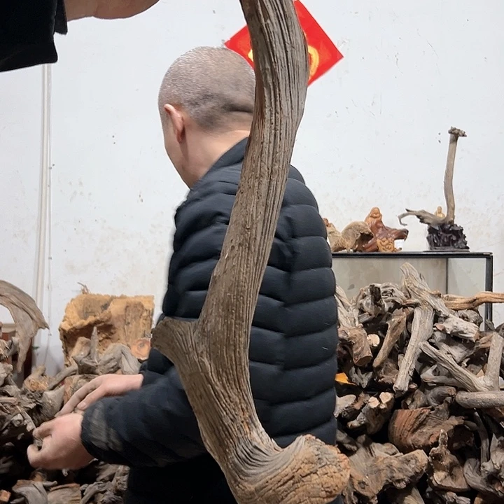 柏木福*竹我们的生活也是