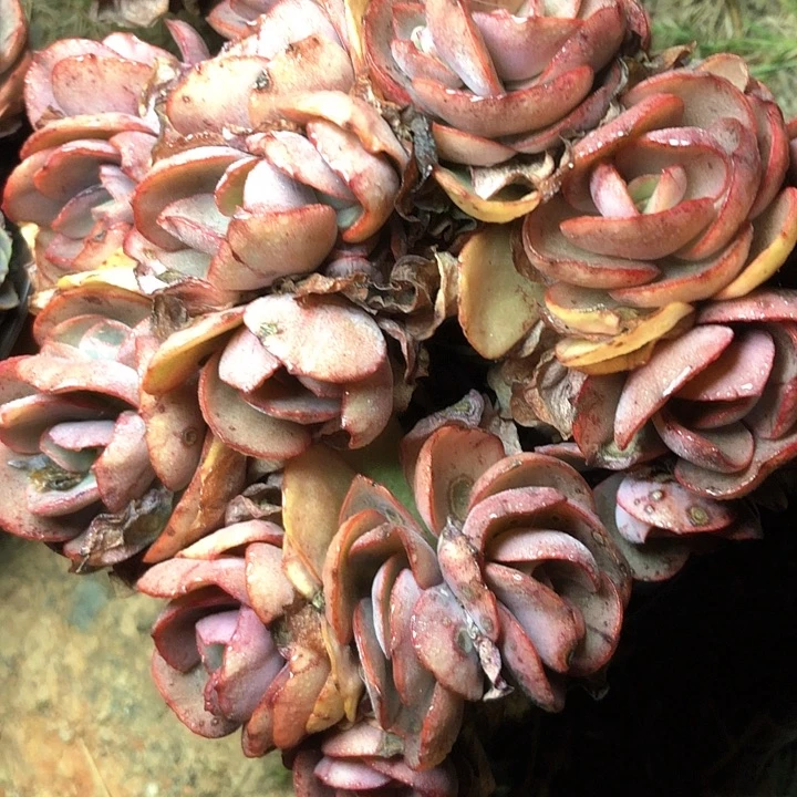 110/////////////////