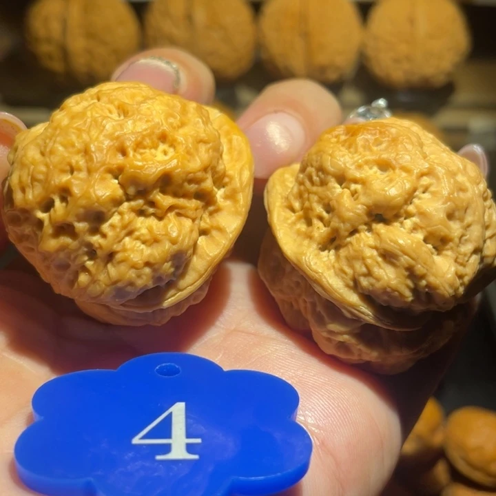 来***看聚宝金蟾核桃尺寸，40