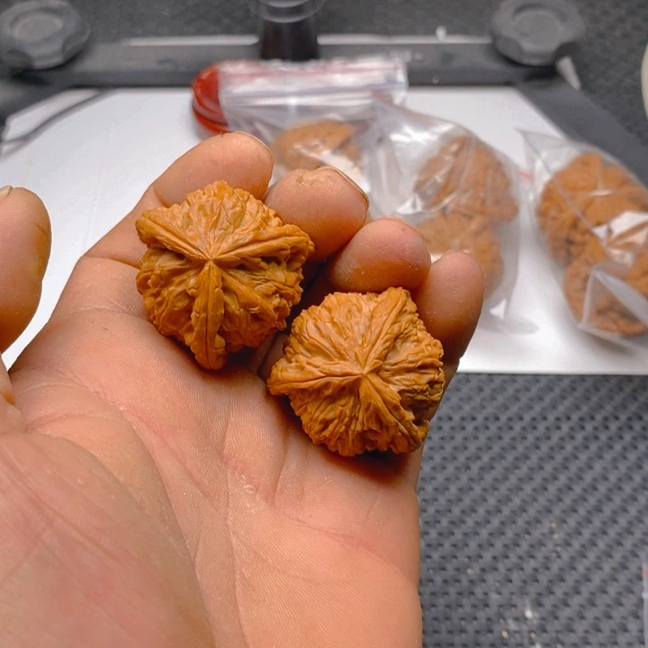 核桃把件龙**家拼接白狮子11