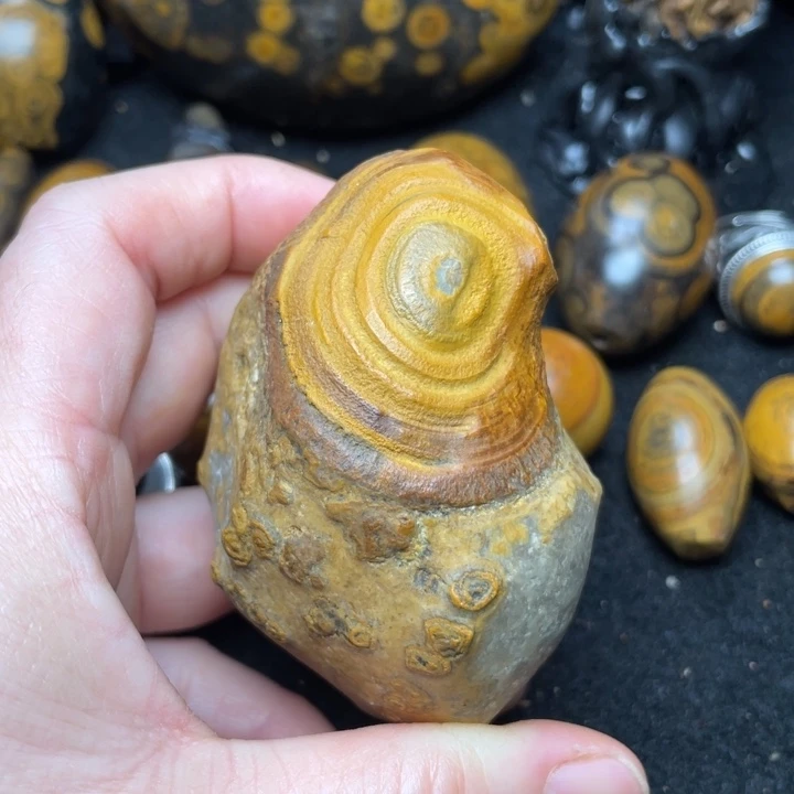 石材纯天然奇石原石27