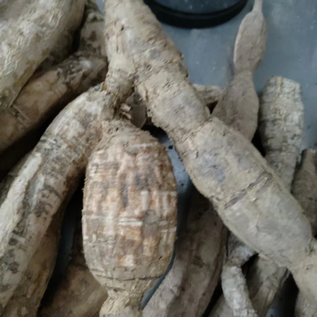 老山货土特产金钟根牛大力薯(精挑现称)