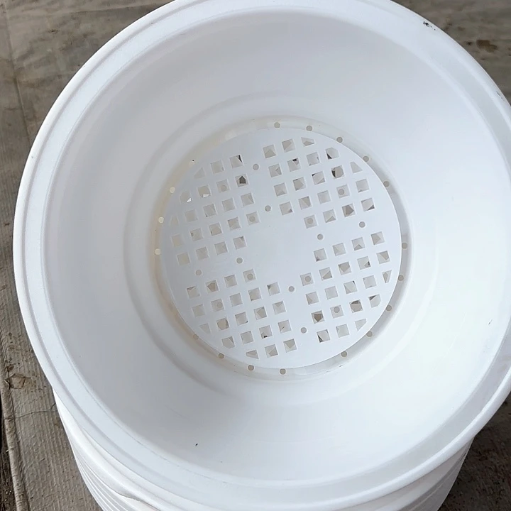 20公分白色韩盆12个