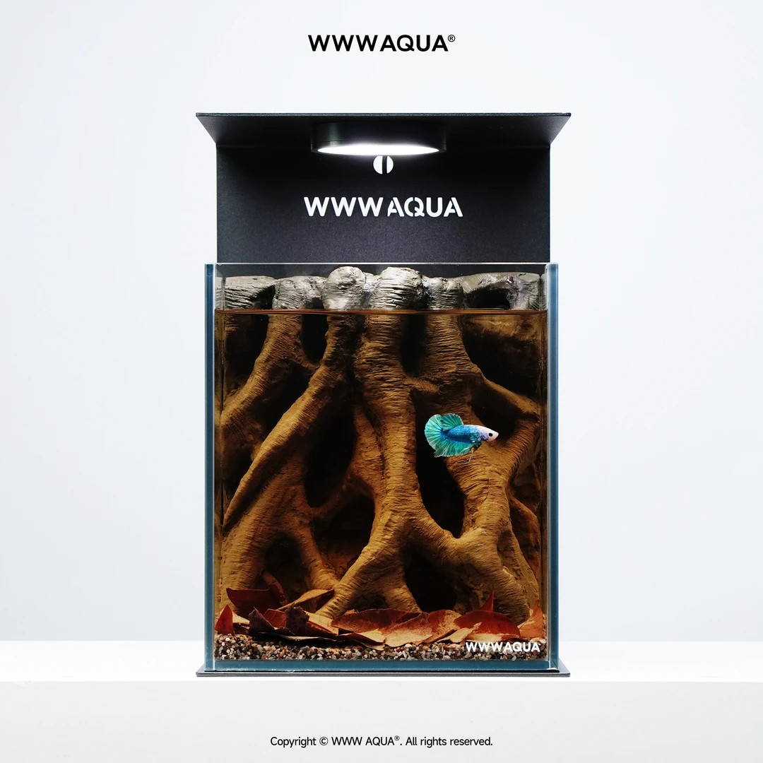WWWAQUA栖息地系列原始树藤斗鱼专用桌面鱼缸家具造景微景观套装