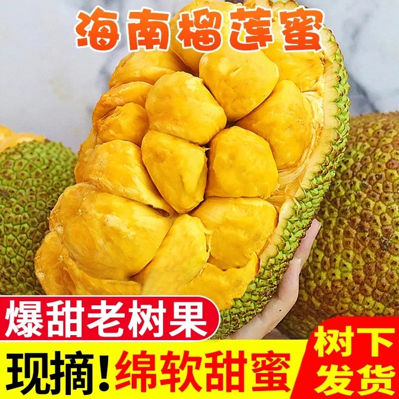海南榴莲蜜当季新鲜水果香甜软糯热带水果三亚榴莲批发一整个包邮