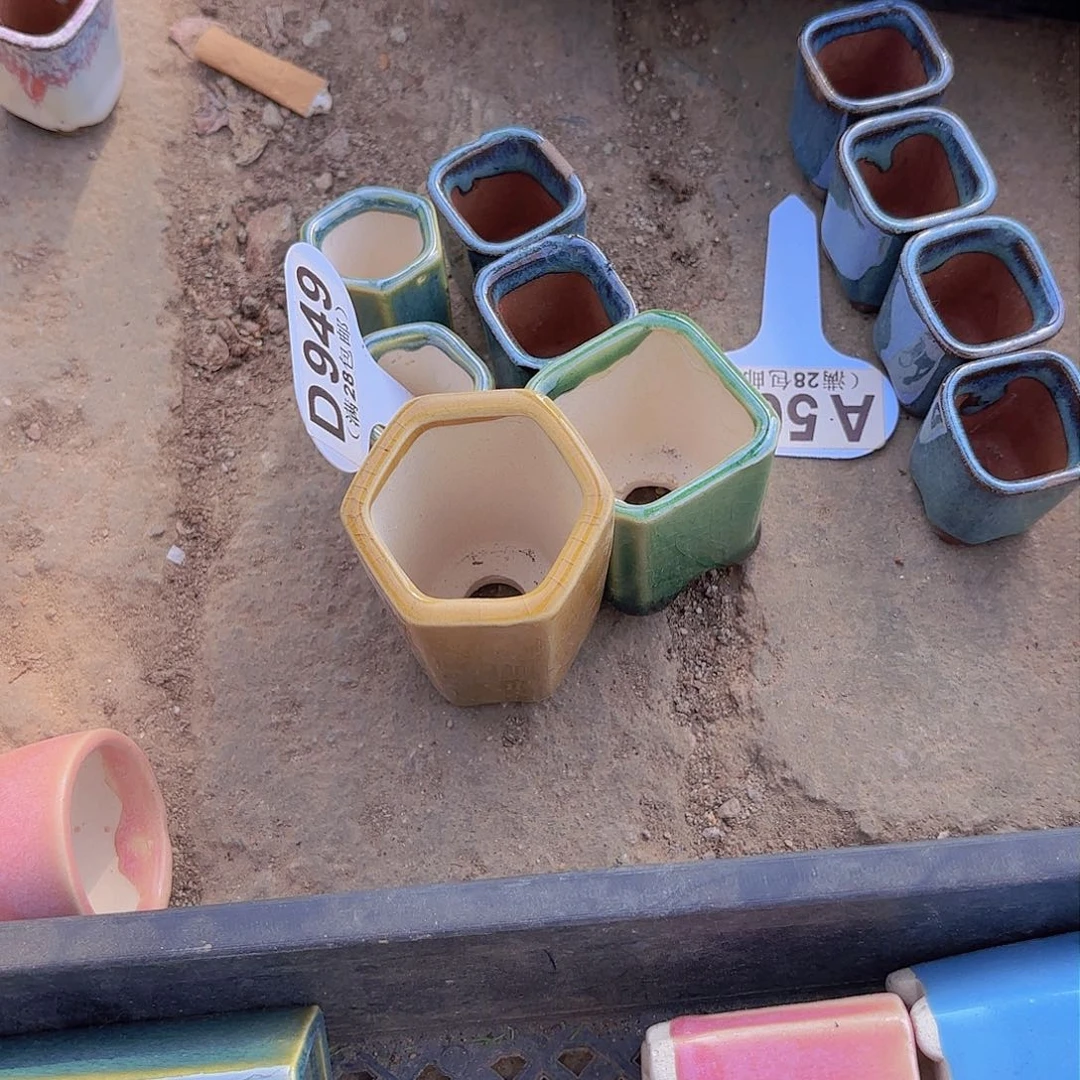 风**语D949六个盆一物一拍