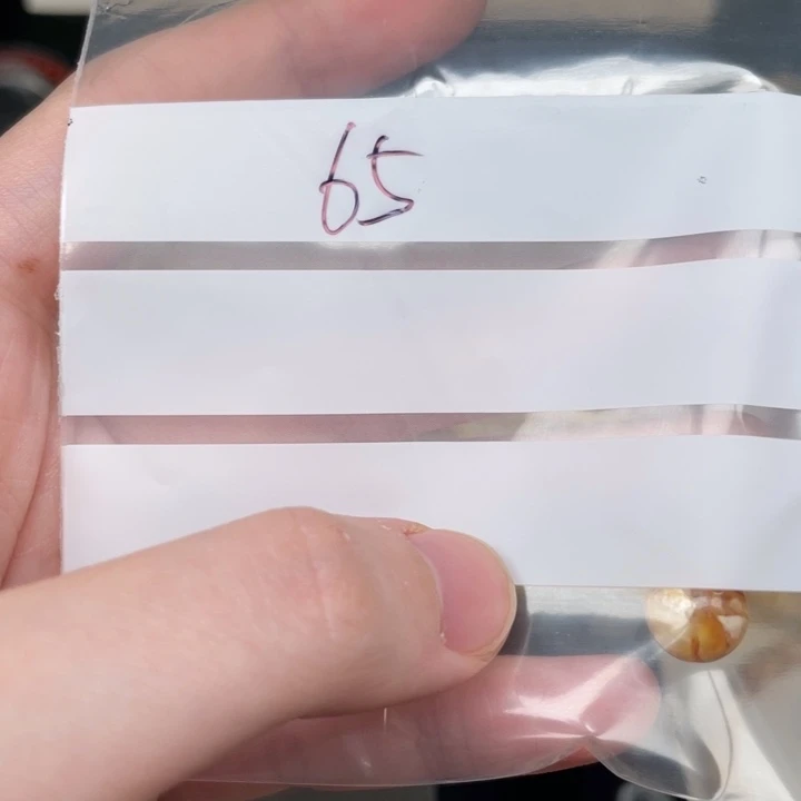 欧***甲琥珀未镶嵌裸石65号