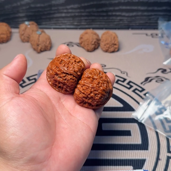 大叶紫檀（黑酸枝木类）