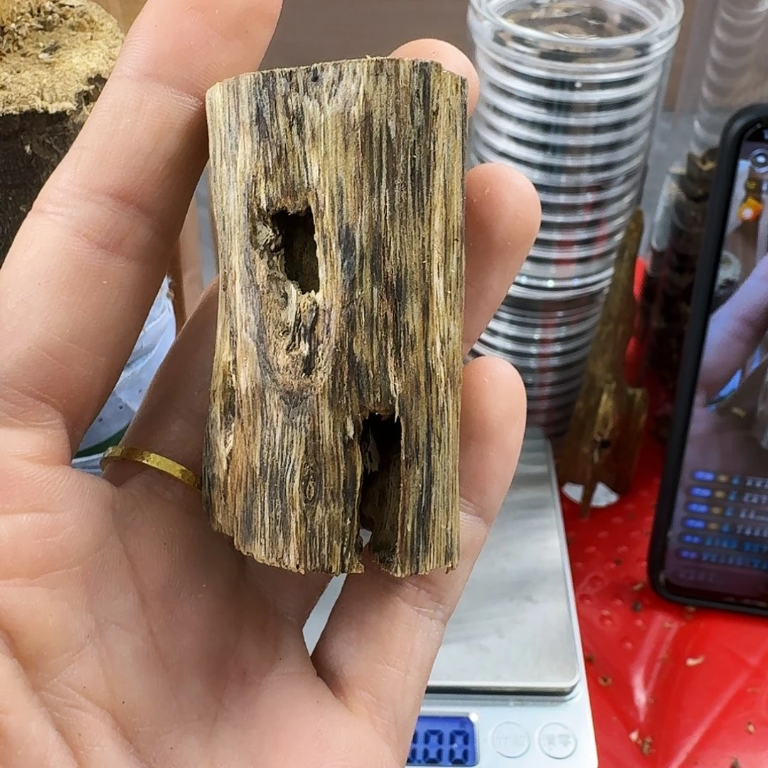 香料绿奇楠虫漏白棋13克