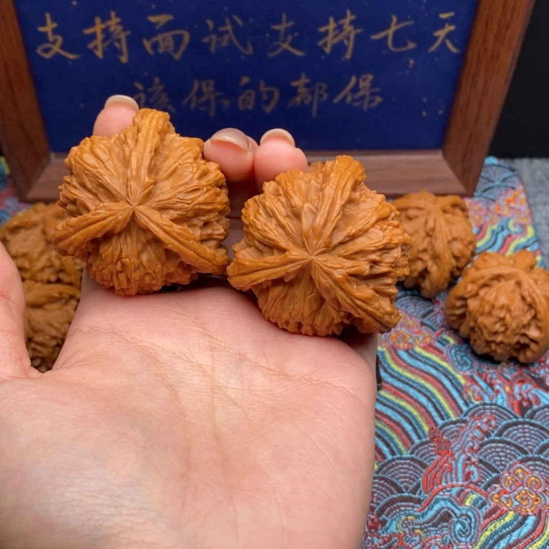 【闪购商品】人**戏白狮