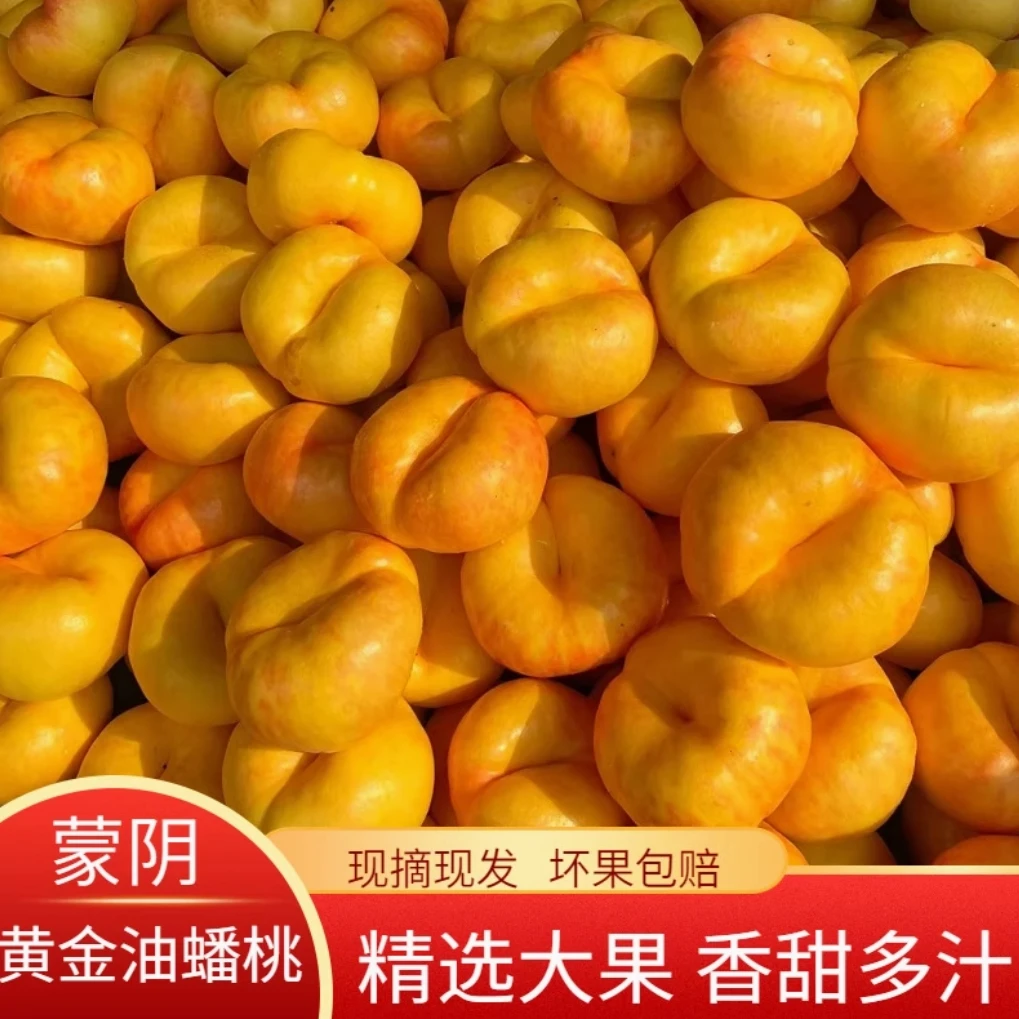 蒙阴黄油蟠桃新鲜水果彩虹黄油蟠桃黄油盘桃脆甜爆汁整箱包邮