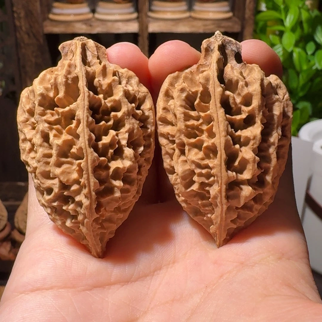 把件文玩核桃流星锤