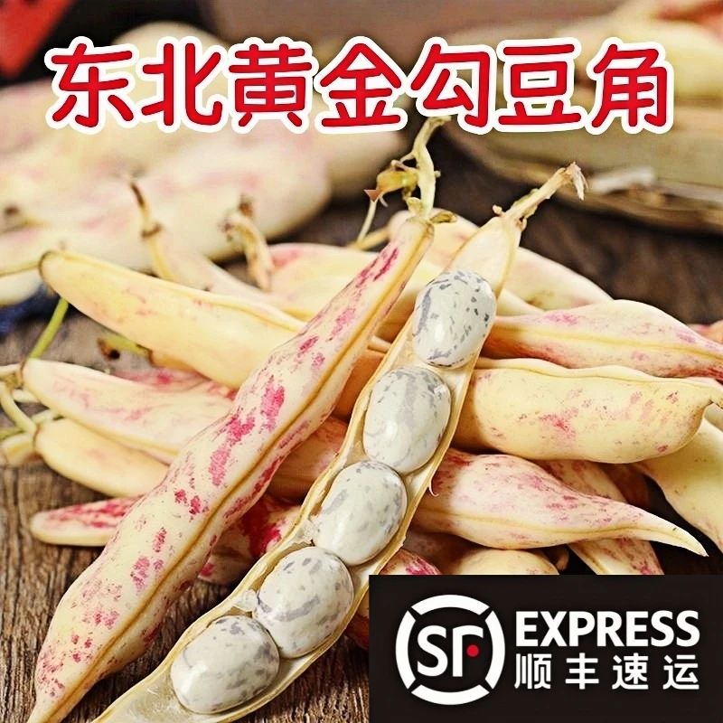 顺丰速运勾勾黄新鲜东北特产黄金钩油豆角鼓豆现摘钩子翻白眼豆角