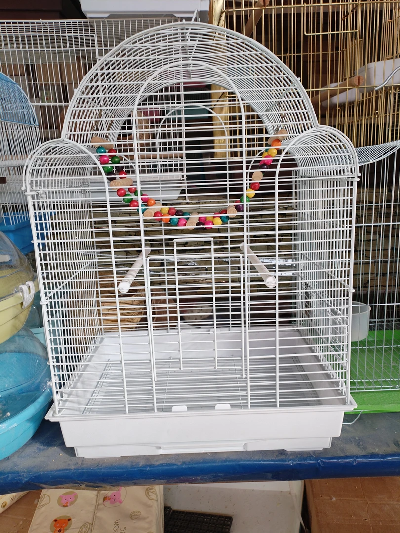 鸟笼防溅透明家用外带大型鸟笼和尚鹦鹉画眉精品鸟笼