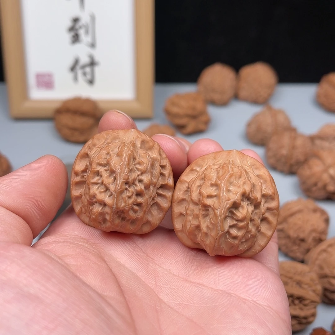 核桃平谷野生虎啸