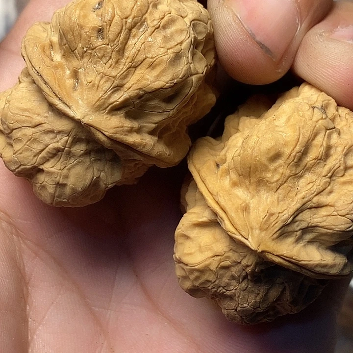 把件文玩核桃云南铁核桃88