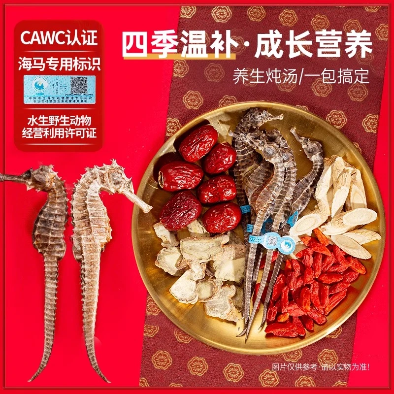 干货煲汤海馬公母田七中药材非海马田七长高汤12-15岁饮片儿童