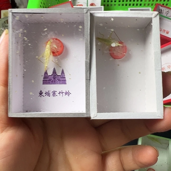 天***头哈哈哈哈哈哈哈哈哈哈