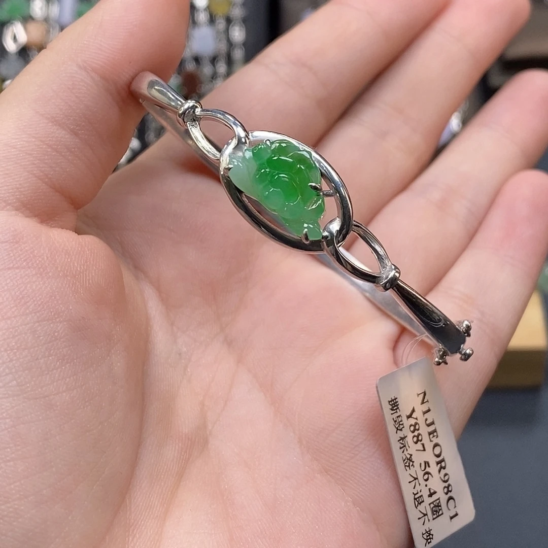 翡翠银S925镶嵌颈饰18192