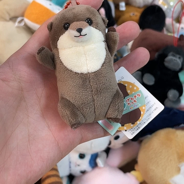 毛绒正版亏本促销