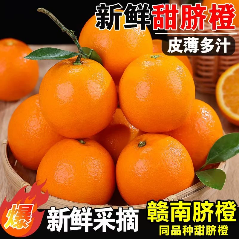 【正宗高山脐橙】赣南脐橙同品种皮薄肉厚果园直发新鲜甜橙多仓发货