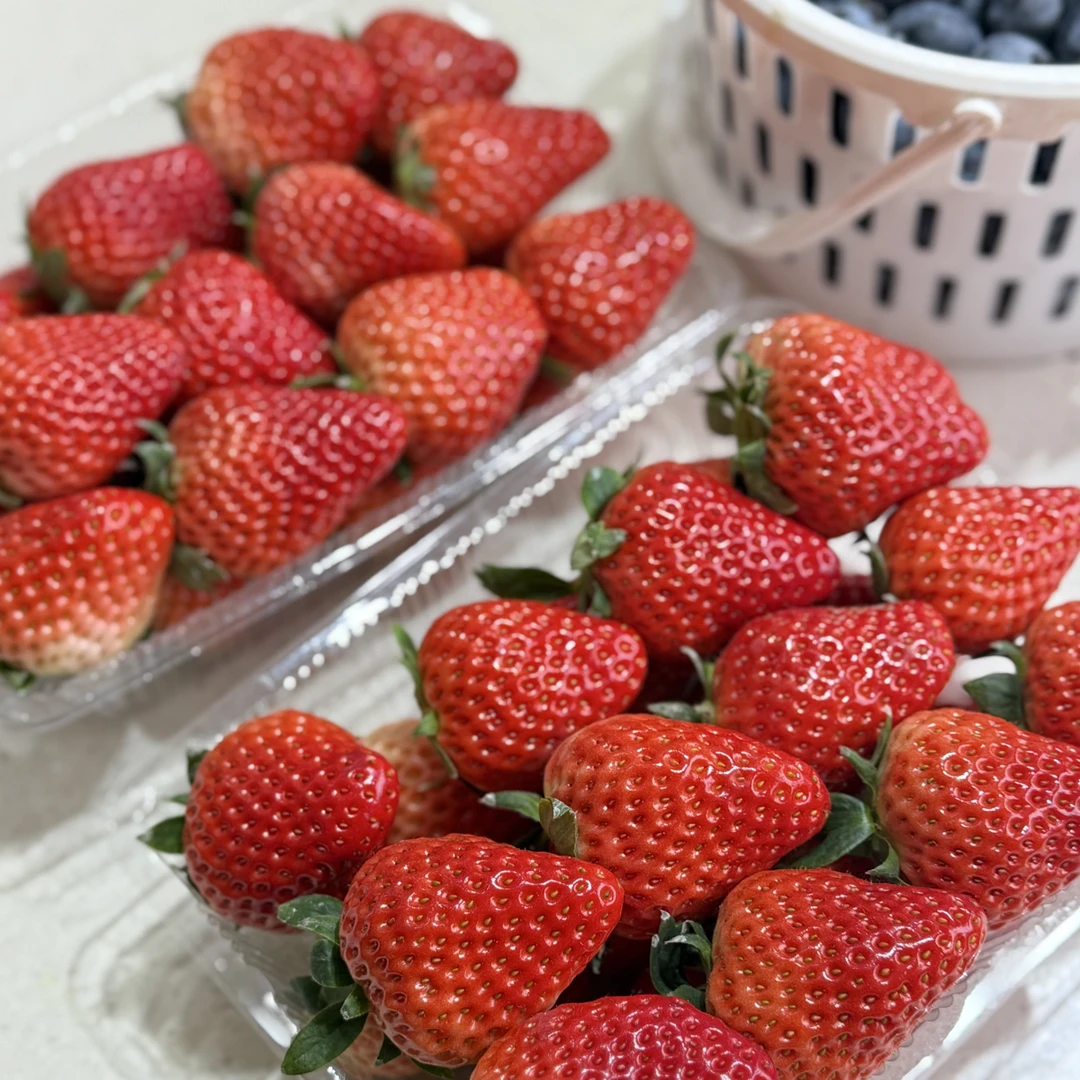 丹东999红颜草莓整果750克