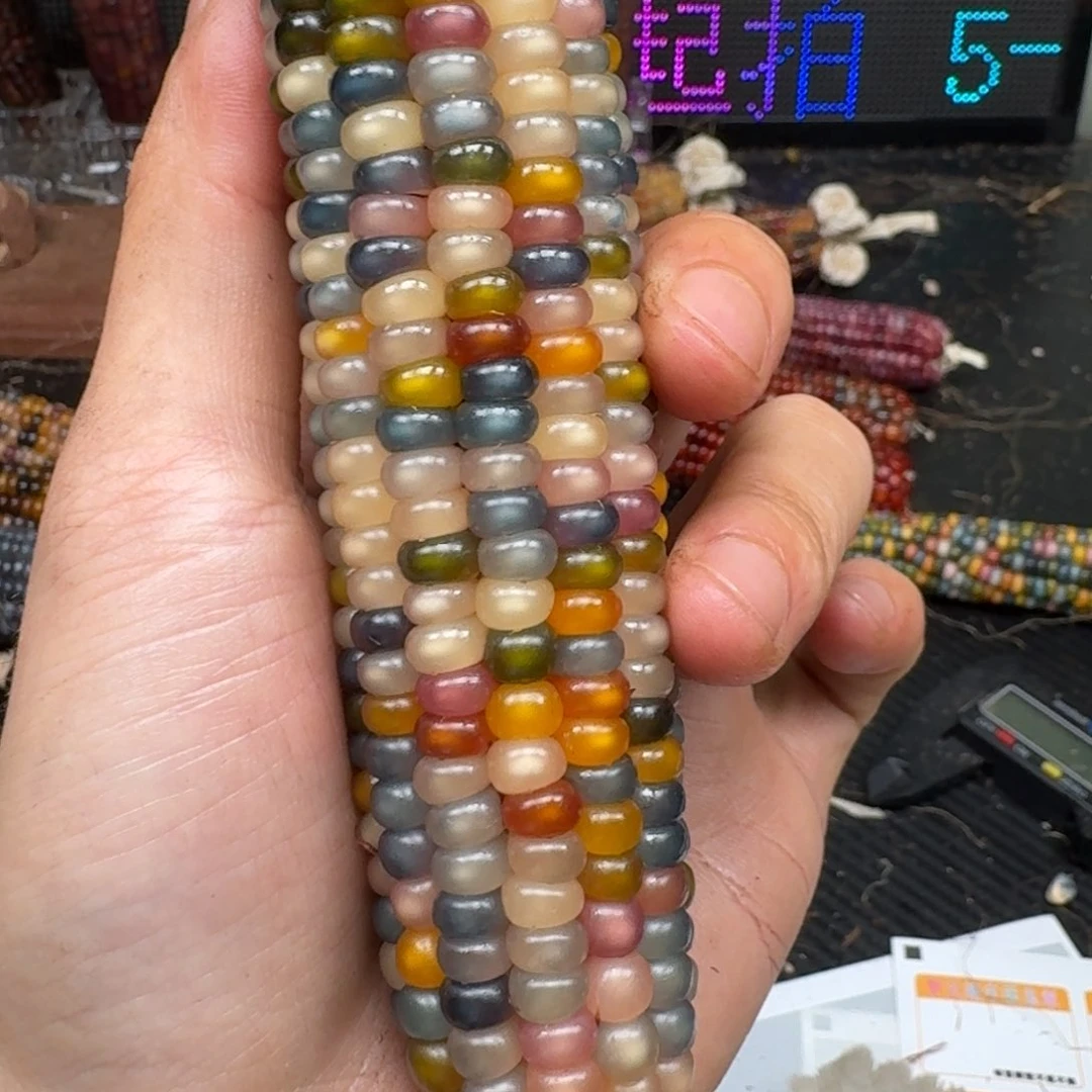 柏香籽/百香籽吊坠沙