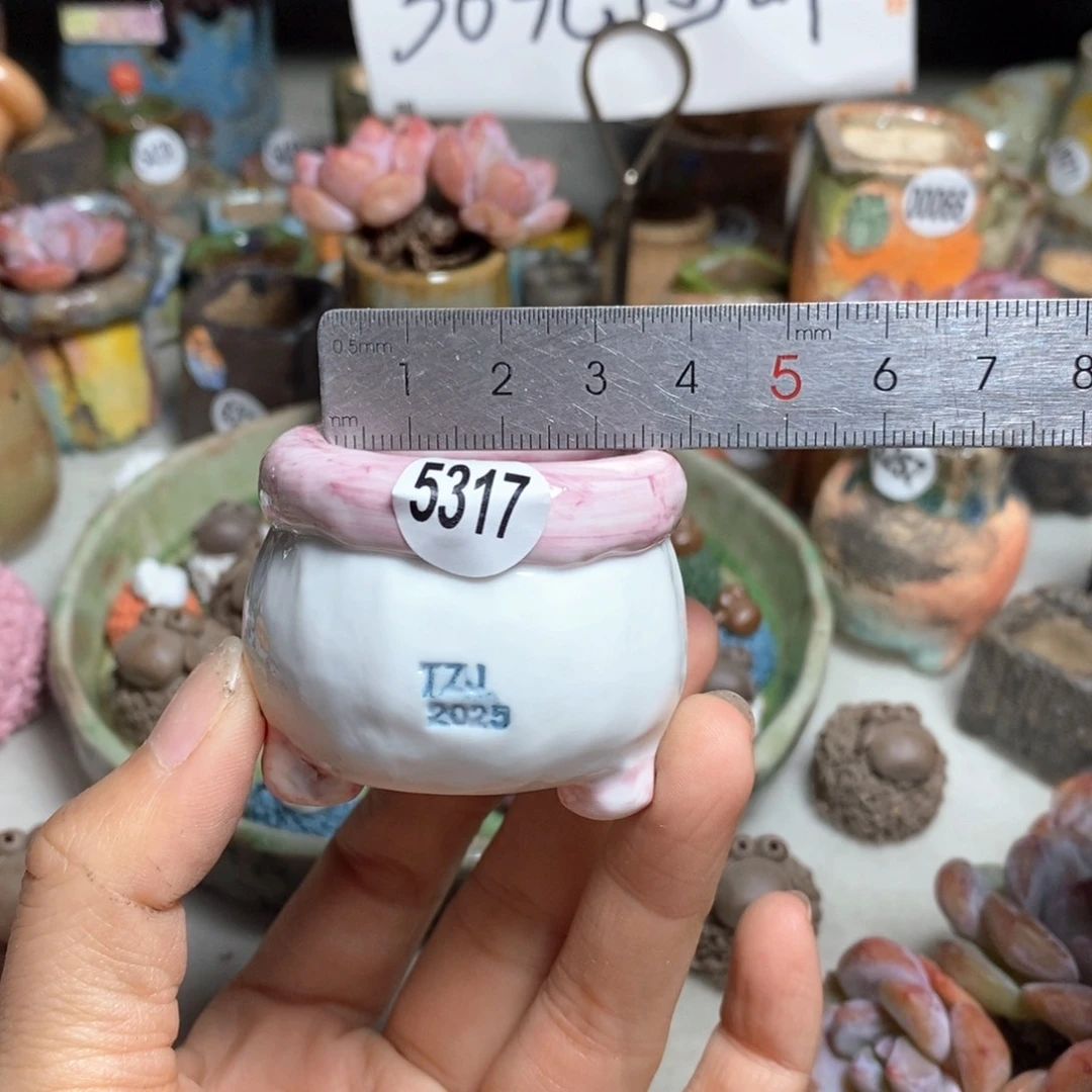 拍3送一个小礼物