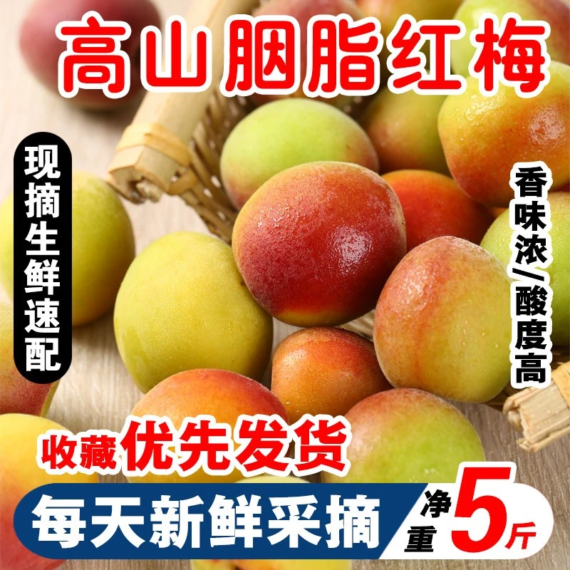 【红梅】胭脂梅正宗诏安青梅鲜果红梅泡酒更香浓