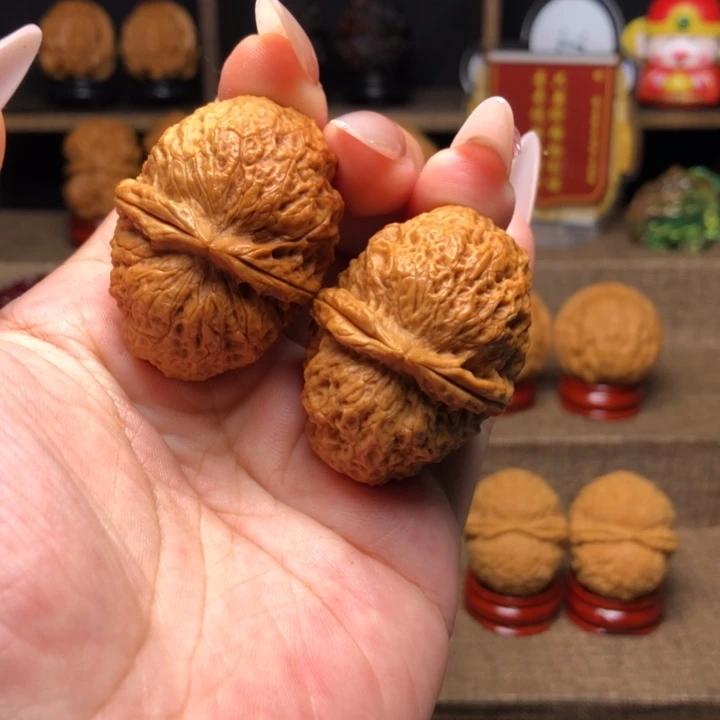 橄榄核吊坠10卧龙元宝