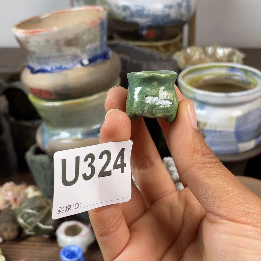 默认微次 跨年福利  坛子姐花盆