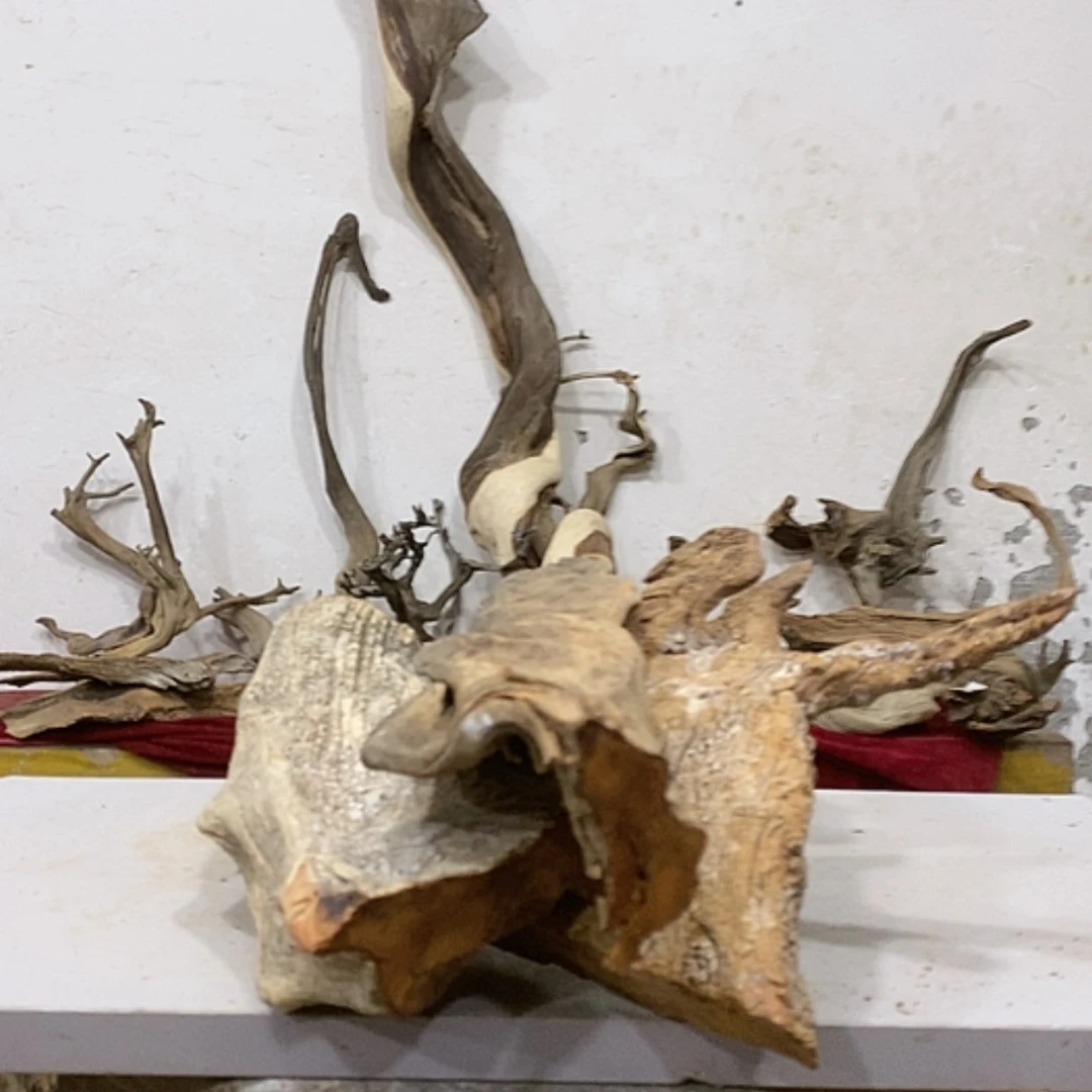 【闪购商品】柏木求*我们都是好孩子