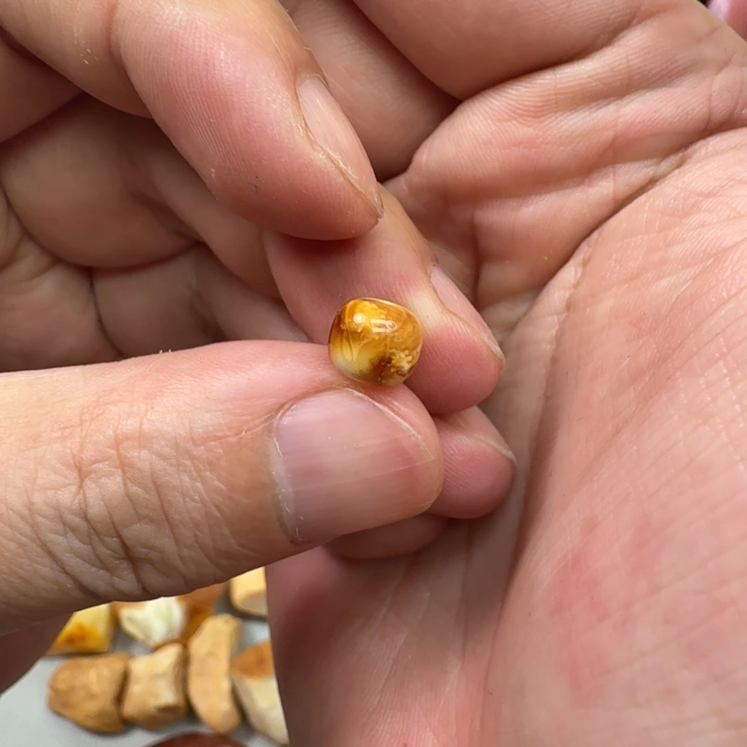 未镶嵌琥珀珠宝奇石