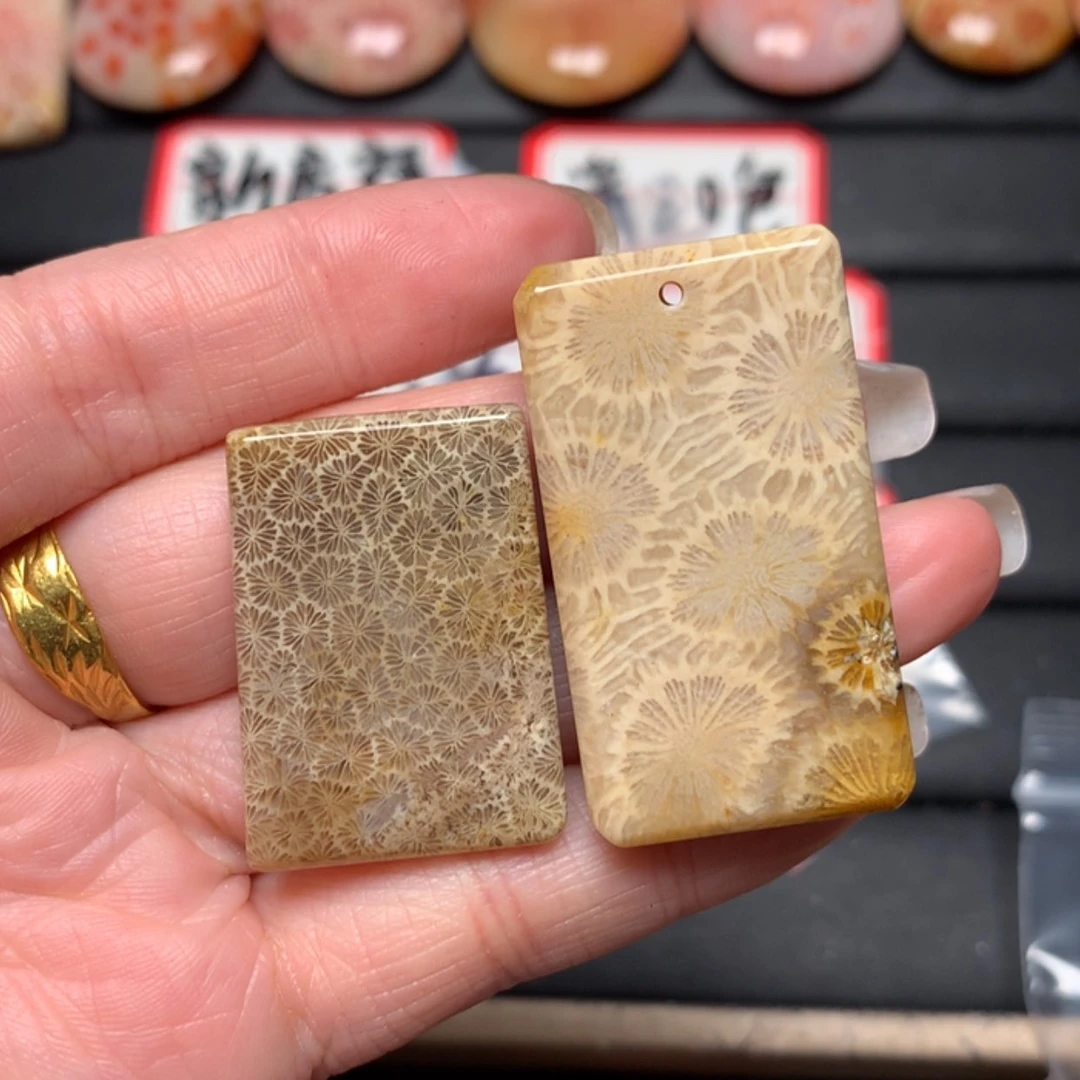 【闪购商品】硅化玉颈饰未镶嵌道*