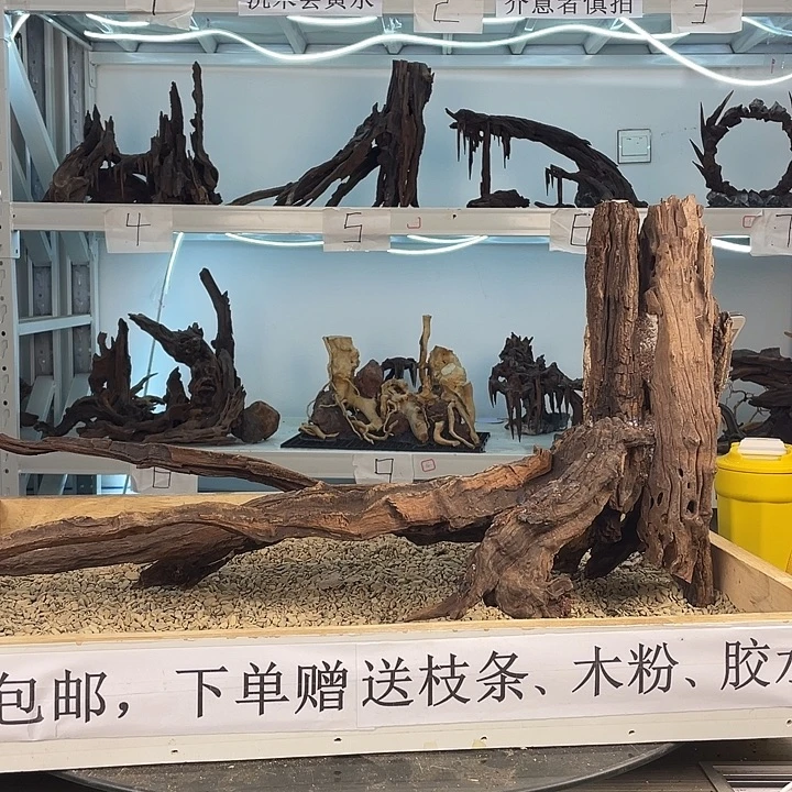 阴沉木鱼缸造景 鱼缸造景