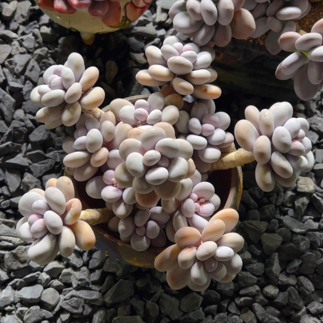 嗨嗨11111111111111